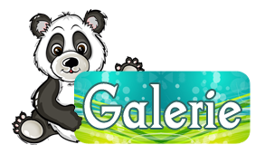 logo galeriepanda